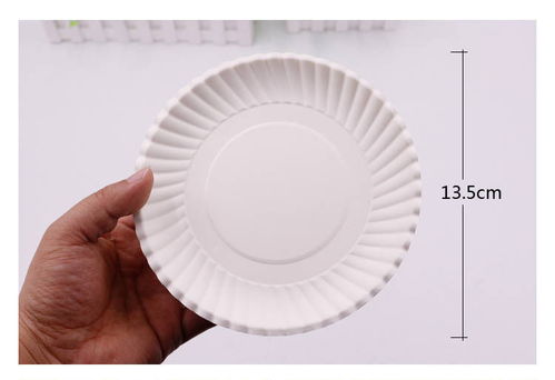 創(chuàng)新教學(xué)與實(shí)用批發(fā) 一次性紙盤子繪畫在幼兒園手工活動中的多功能應(yīng)用